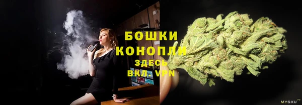 хмурый Пестово
