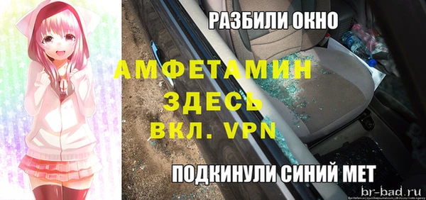 индика Балабаново