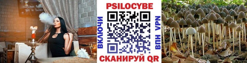 Галлюциногенные грибы Psilocybe  закладки  Сегежа 