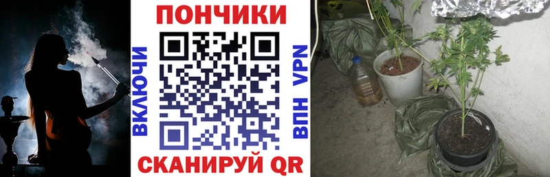 где купить наркоту  Сегежа  MEGA как войти  Бошки марихуана MAZAR 